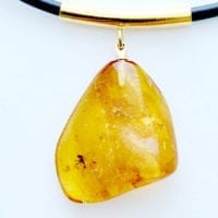 Natural Baltic Amber With Insect(s) Inclusion Necklace