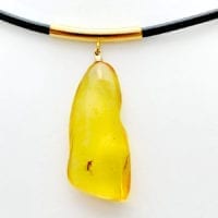 Natural Baltic Amber With Insect(s) Inclusion Necklace